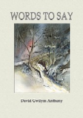 Words To Say by David G. Anthony
