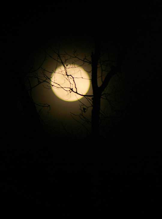 Haunted Haunted